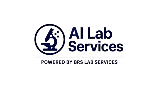 AI Lab Services logo